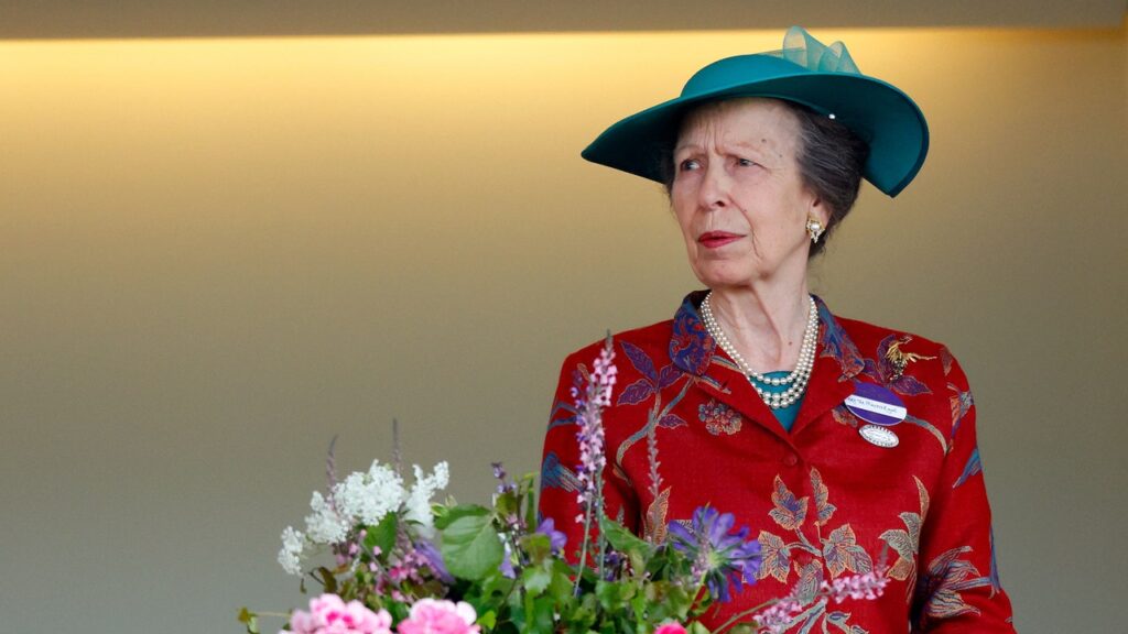 La princesse Anne rompt le silence après son hospitalisation pour exprimer ses « profonds regrets »
